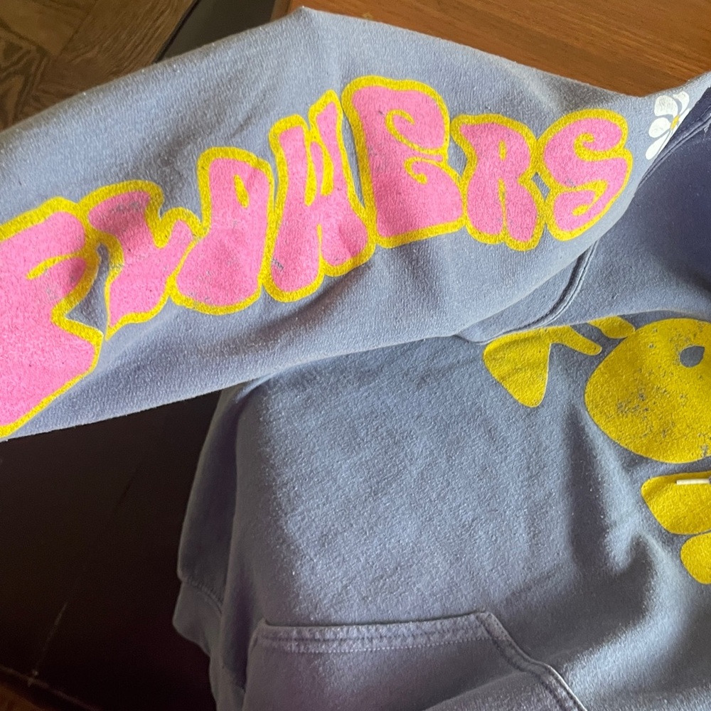 BDG Light Blue Pullover Hoodie with Flowers For the People Logo - Picture 3 of 5